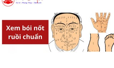 XEM BÓI NỐT RUỒI - Trên Mặt, Bàn Tay, Chân, Cơ Thể Nam & Nữ chính xác 100%