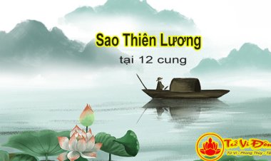 Sao Thiên Lương tại 12 cung trong Tử Vi