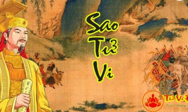 Sao Tử Vi - Ý nghĩa Tại Mệnh Và Các Cung Trong Khoa Tử Vi