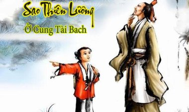 Luận Giải Sao Thiên Lương Ở Cung Tài Bạch