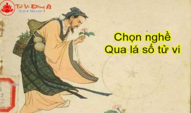 Lựa Chọn Nghề Nghiệp Thông Qua Lá Số Tử Vi