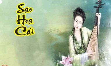 Sao Hoa Cái - Ý Nghĩa Tại Mệnh Và Cung Khác Trong Tử Vi