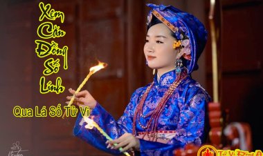 Xem Căn Đồng Số Linh Thông Qua Lá Số Tử Vi