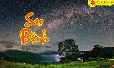 Ý Nghĩa Sao Bệnh Tại 12 Cung Trong Tử Vi