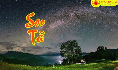 Luận Giải Sao Tử Trong Vòng Tràng Sinh