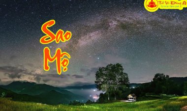 Sao Mộ - Ý Nghĩa Tại 12 Cung Trong Tử Vi