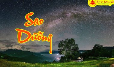 Ý Nghĩa Sao Dưỡng Trong Vòng Tràng Sinh