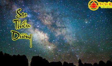 Sao Thiếu Dương - Ý  Nghĩa Tại Mệnh Và Cung Khác Trong Tử Vi