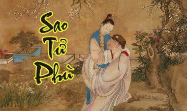 Sao Tử Phù - Ý Nghĩa Tại Mệnh Và Cung Khác Trong Tử Vi