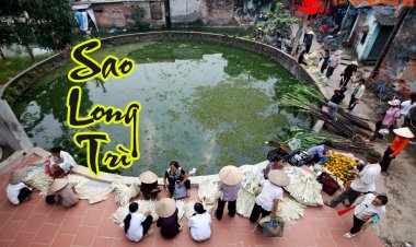 Sao Long Trì - Ý Nghĩa Tại Mệnh và Cung Khác Trong Tử Vi