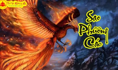 Sao Phượng Các - Ý Nghĩa Tại Mệnh Và Cung Khác Trong Tử Vi