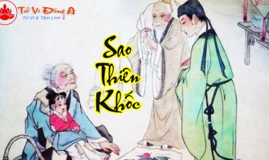 Sao Thiên Khốc - Ý Nghĩa Tại Mệnh Và Cung Khác Trong Tử Vi