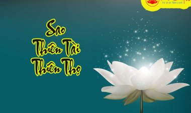 Bộ Sao Thiên Tài, Thiên Thọ - Nhân Quả Trong Tử Vi