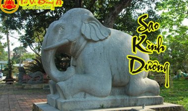 Sao Kình Dương - Tại Mệnh Và Cung Khác Trong Tử Vi