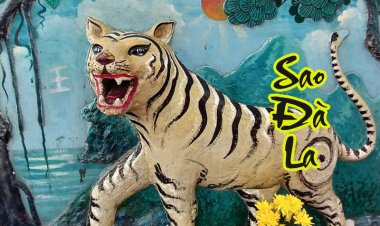 Sao Đà La - Ý Nghĩa Tại 12 Cung Trong Tử Vi