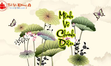 Mệnh Vô Chính Diệu - Các Dạng Cách Mệnh VCD Trong Tử Vi