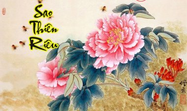 Sao Thiên Riêu - Ám Tinh Trong Khoa Tử Vi