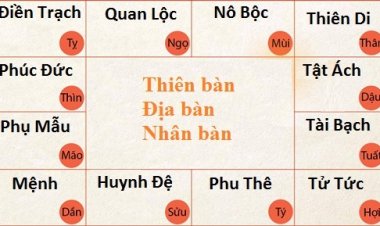Ý Nghĩa Các Cung Trong Khoa Tử Vi Chi Tiết, Dễ Hiểu