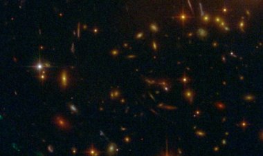 Các Nhóm Sao Trong  Khoa Tử Vi