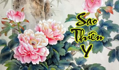 Sao Thiên Y - Ý Nghĩa Tại Mệnh Và Cung Khác Trong Tử Vi