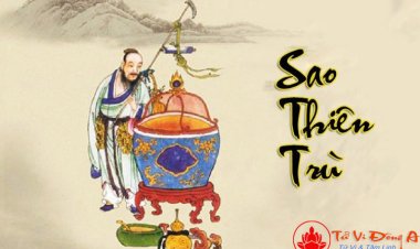 Sao Thiên Trù - Ý Nghĩa Tại Mệnh Và Cung Khác Trong Tử Vi