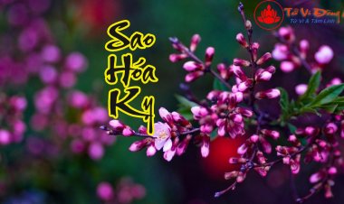 Sao Hóa Kỵ -  Kiến Thức Tinh Túy Trong Tử Vi