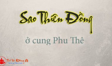 Sao Thiên Đồng Ở Cung Phu Thê