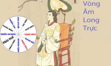 Vòng Âm Long Trực (Thiếu Âm - Long Đức - Trực Phù) Trong Tử Vi